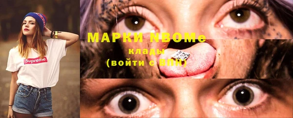 гидра Володарск