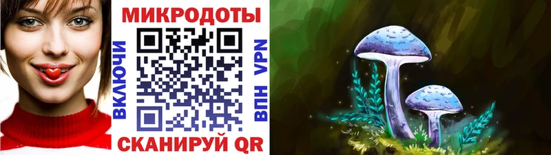 дарк нет как зайти  Каменка  Галлюциногенные грибы GOLDEN TEACHER 